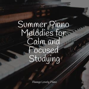 Summer Wellness: 50 Piano Melodies for Relaxation - Calming Piano