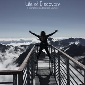 Life of Discovery - Meditations and Natural Sounds