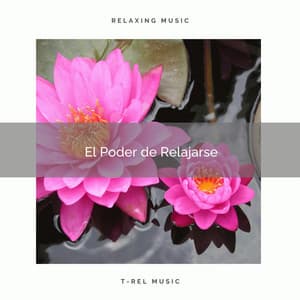 El Poder de Relajarse - Flor de Loto