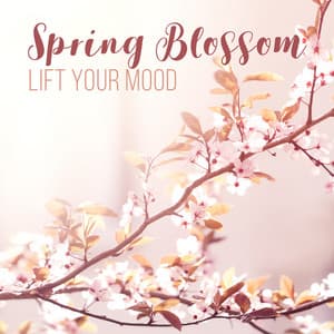 Spring Blossom - Lift Your Mood, Positive Thoughts, Inspirational Songs, Nature Connection, Depression and Anxiety Therapy - Academy of Powerful Music with Positive Energy