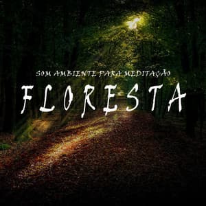 Som Ambiente para Meditação: Floresta - Oasis Relaxamento