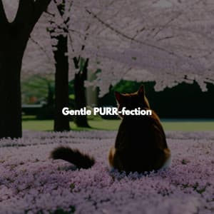 Gentle PURR-fection - Montreal Jazz Duo