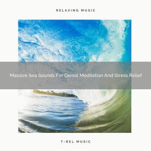 Massive Sea Sounds For Genial Meditation And Stress Relief - Sanctuary Of Relax