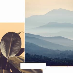 Calming Moments - Elevator Background Music Sensation