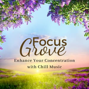Focus Grove: Enhance Your Concentration with Chill Music - Brain Timbre