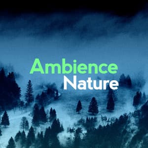 Ambience Nature - Ambiance nature