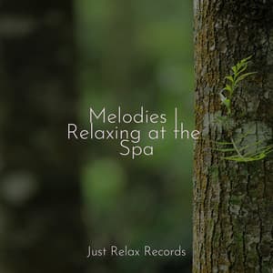 Melodies | Relaxing at the Spa - Musica de Relajación Academy