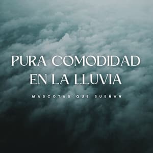 Pura Comodidad En La Lluvia: Mascotas Que Sueñan - Terapia de lluvia