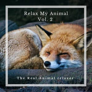Relax My Animal - The Real Animal relaxer