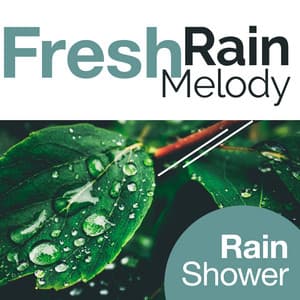 Fresh Rain Melody - Rain Shower