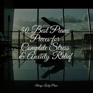 50 Piano Soundscapes for a Deeply Chill Ambience - Klassisk Musik Orkester