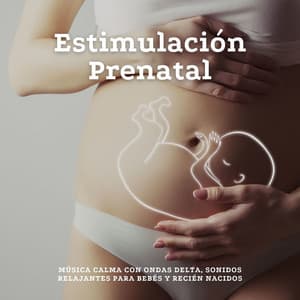 Estimulación Prenatal: Música Calma con Ondas Delta, Sonidos Relajantes para Bebés y Recién Nacidos - Ritmo del Feto