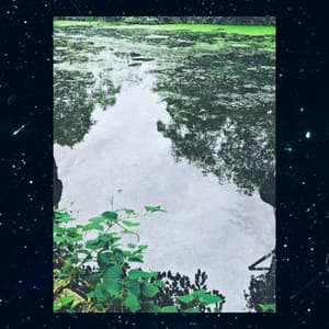 LOFI JAZZ 2 come down - STAY LIT