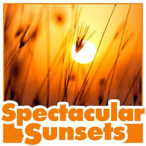 Spectacular Sunsets - Nature Ambience