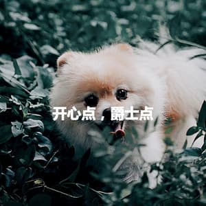 开心点，爵士点 - Coffee & Jazz