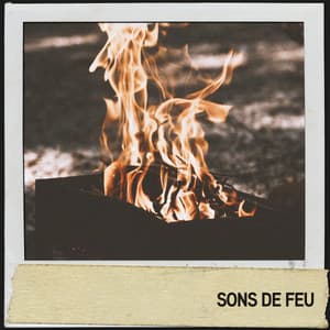 Sons de feu : feu d'ambiance pour des moments zen - Música Relajante Para Leer