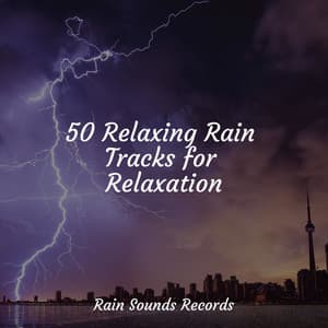 50 Relaxing Rain Tracks for Relaxation - Yoga