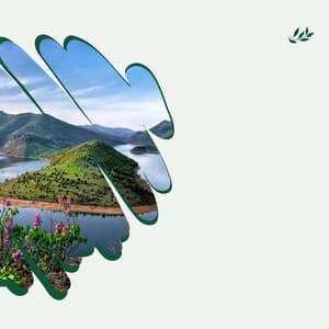 Background Music - Coffee Time - New Orleans Jazz Radio