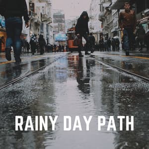 Rainy Day Path - Relaxing Rain Sounds