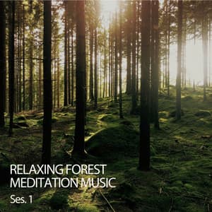 Relaxing Forest Meditation Music Ses. 1 - Relaxing Guru