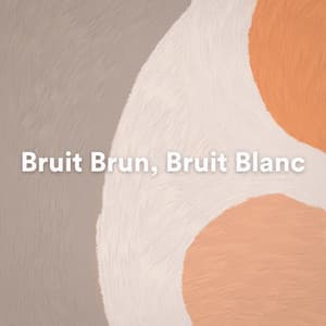 Bruit Brun, Bruit Blanc - Bruit Brun
