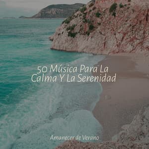 50 Música Para La Calma Y La Serenidad - Relaxing Mindfulness Meditation Relaxation Maestro