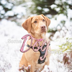 Some Dog Songs - Some Dog Music