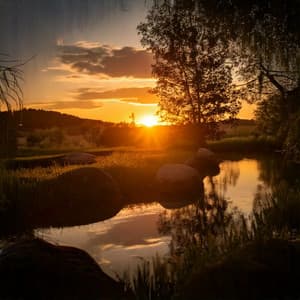 Soft Sounds for Serene Moments - Peaceful Night Relaxation