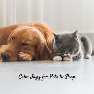 Calm Jazz for Pets to Sleep - Happy Instrumental Jazz