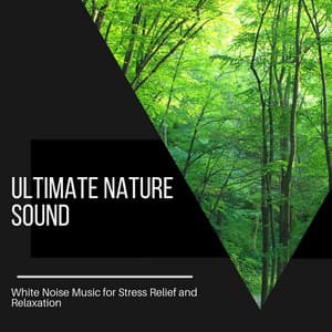 Ultimate Nature Sound - White Noise Music for Stress Relief and Relaxation - Ocean Sounds Plus