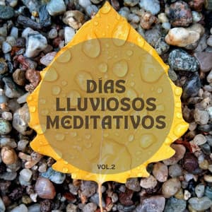 Mente flotando en gotas de lluvia Vol.2 - Clima Colmena