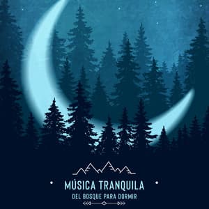 Música Tranquila del Bosque para Dormir - Relajante Academia de Música Zen