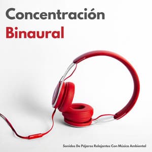 Concentración Binaural: Sonidos De Pájaros Relajantes Con Música Ambiental - Sonidos De Pajaros