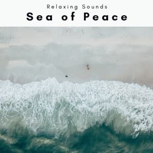 1 Sea of Peace - Waves Hard
