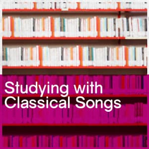 Studying with Classical Songs - Beethoven Consort