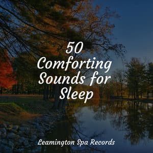 50 Comforting Sounds for Sleep - Sounds of Nature White Noise for Mindfulness Meditation and Relaxation