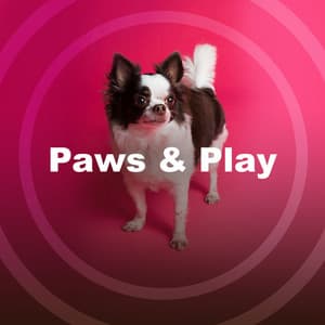 Paws & Play - Dog Music Library