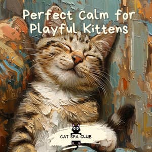 Perfect Calm for Playful Kittens - Cat Spa Club
