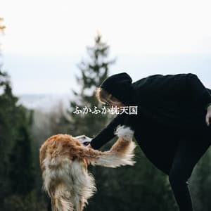 ふかふか枕天国 - Jazz Ambiental para Hoteles