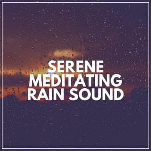 Serene Meditating Rhythm - Rain Meditations