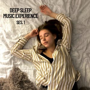 Experiencia musical de sueno profundo, Vol. 1 - Relaxing Music