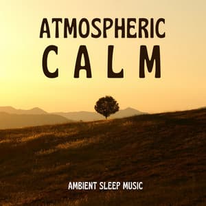 Atmospheric Calm - Ambient Sleep Music - Attract Abundance