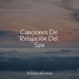 Canciones De Relajación Del Spa - Sonido de lluvia