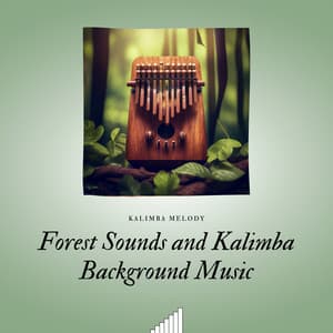 Forest Sounds and Kalimba Background Music - Kalimba Melody