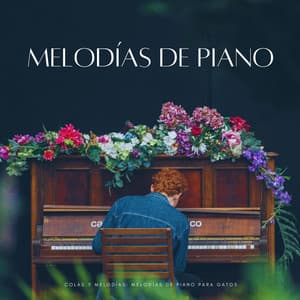 Colas Y Melodías: Melodías De Piano Para Gatos - Relajación de piano definitiva