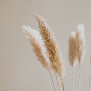 Spiritual Nature Infused Melodies - Lluvia