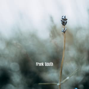 Softly Rooted - Frank South
