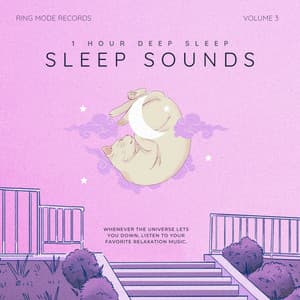 1 Hour Sleep, Vol. 3 - Sleep Sounds