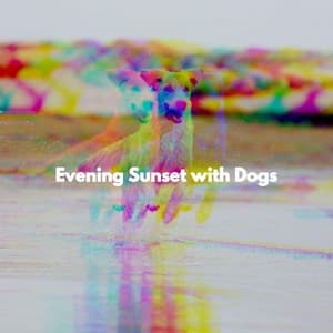 Evening Sunset with Dogs - New York Jazz Bar