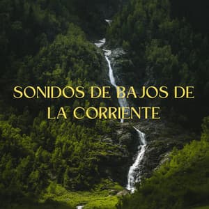 Sonidos De Bajos De La Corriente - Sonidos del río